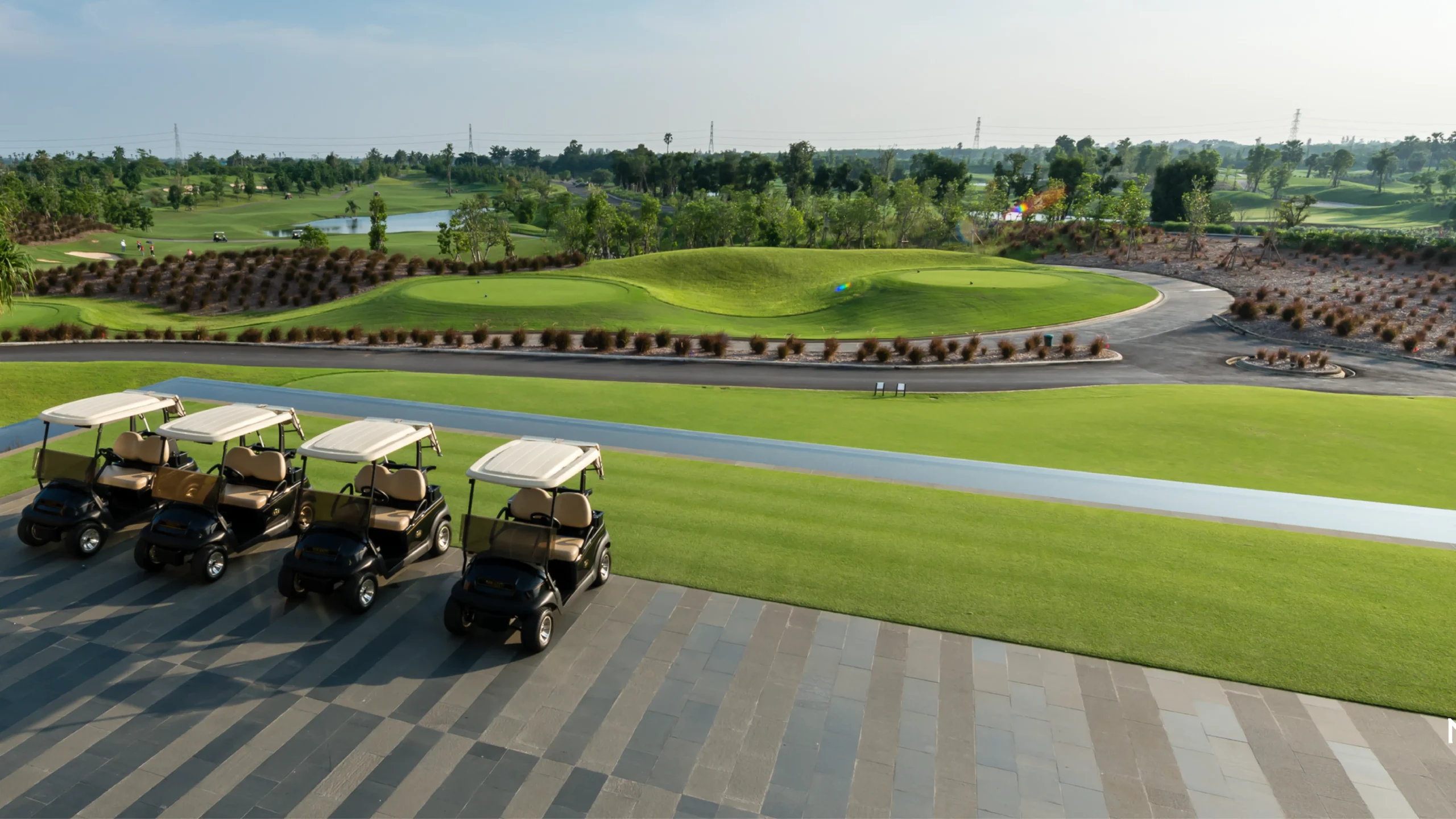 Golf Cart 1